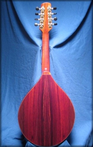 cocobolo mandolin with mahogany neck